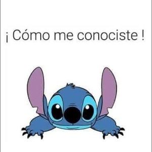 Meet your Posher, Sandy